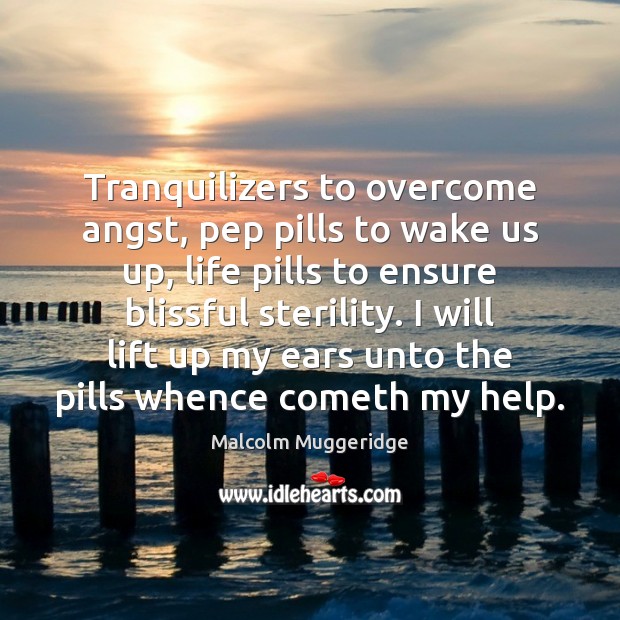 Tranquilizers to overcome angst, pep pills to wake us up, life pills Image