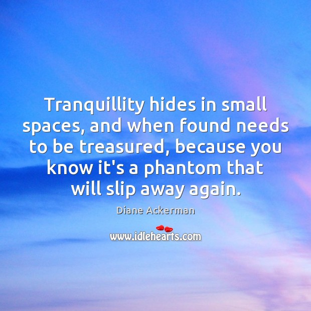 Tranquillity hides in small spaces, and when found needs to be treasured, Image
