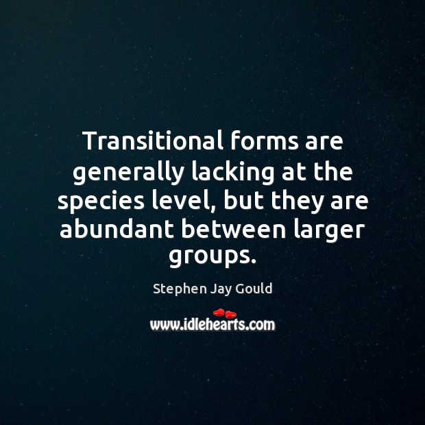 Transitional forms are generally lacking at the species level, but they are Stephen Jay Gould Picture Quote