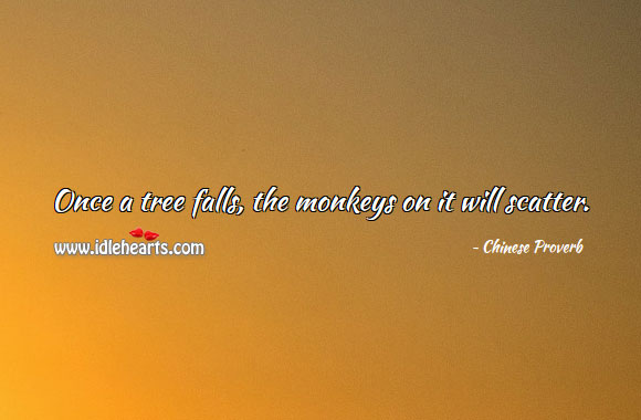 Once a tree falls, the monkeys on it will scatter. Image
