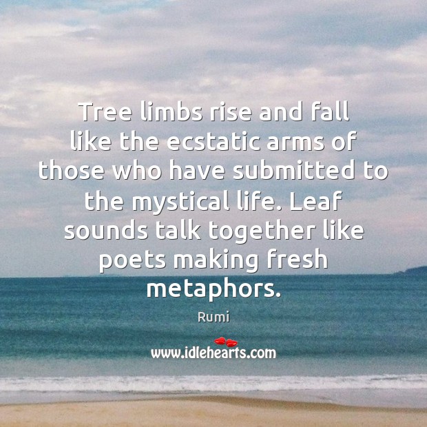 Tree limbs rise and fall like the ecstatic arms of those who Image