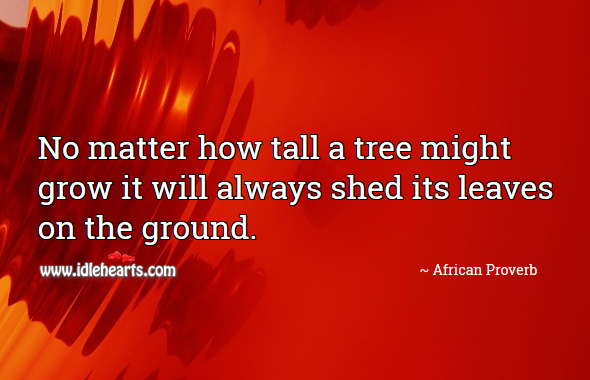 No matter how tall a tree might grow it will always shed its leaves on the ground. African Proverbs Image