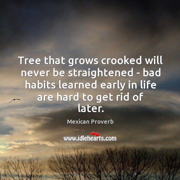 Tree that grows crooked will never be straightened Mexican Proverbs Image