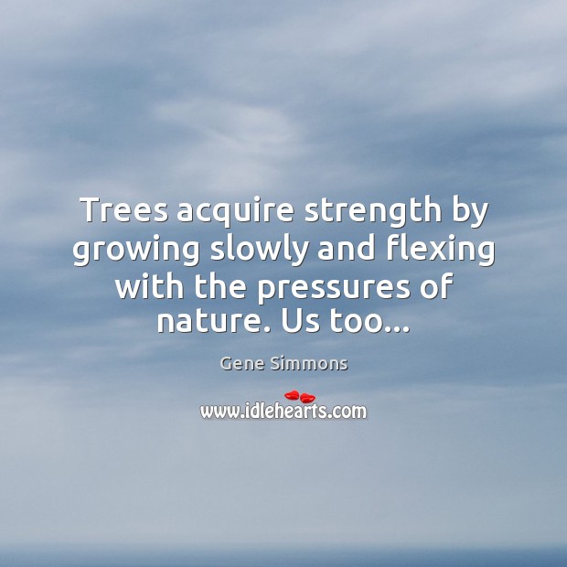 Trees acquire strength by growing slowly and flexing with the pressures of Image