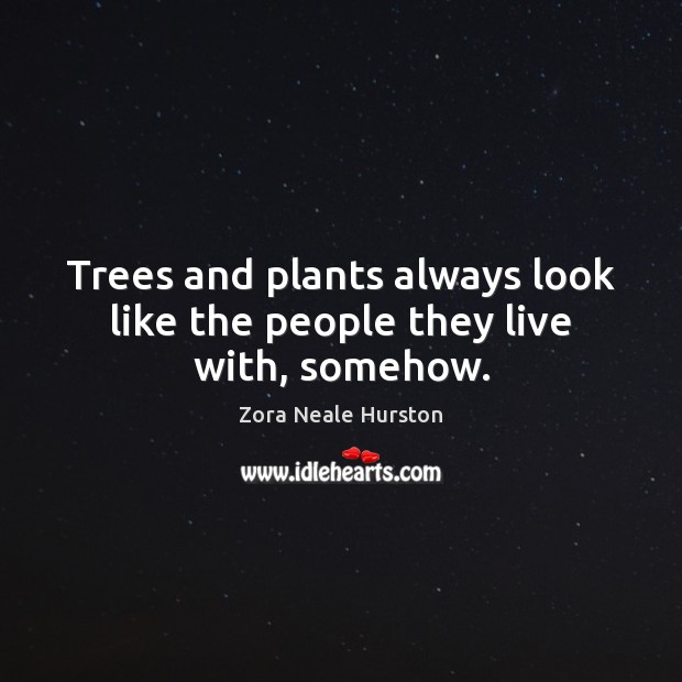 Trees and plants always look like the people they live with, somehow. Zora Neale Hurston Picture Quote