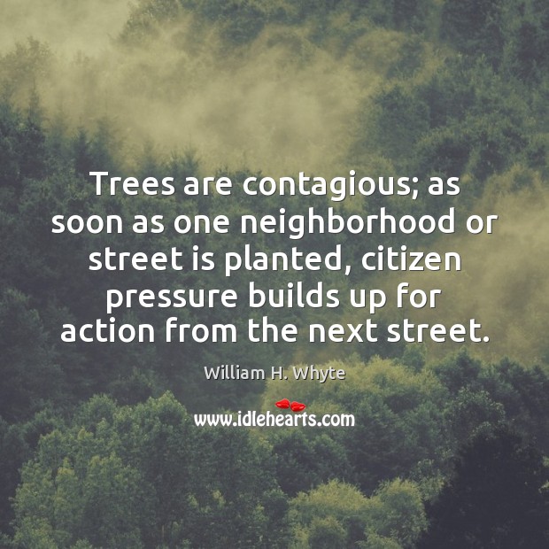 Trees are contagious; as soon as one neighborhood or street is planted, William H. Whyte Picture Quote