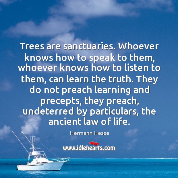 Trees are sanctuaries. Whoever knows how to speak to them, whoever knows Image