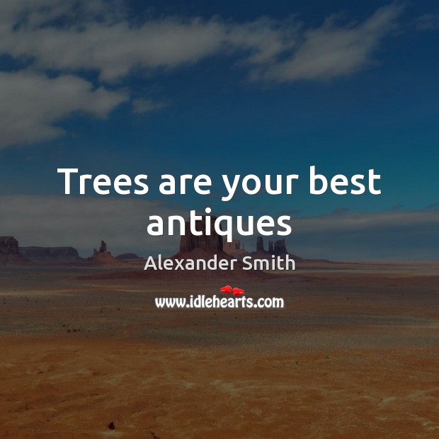 Trees are your best antiques Alexander Smith Picture Quote