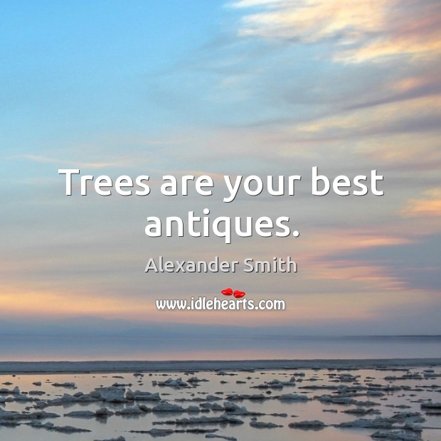 Trees are your best antiques. Alexander Smith Picture Quote