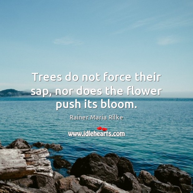 Trees do not force their sap, nor does the flower push its bloom. Rainer Maria Rilke Picture Quote