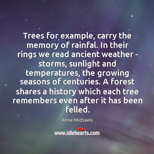 Trees for example, carry the memory of rainfal. In their rings we Image