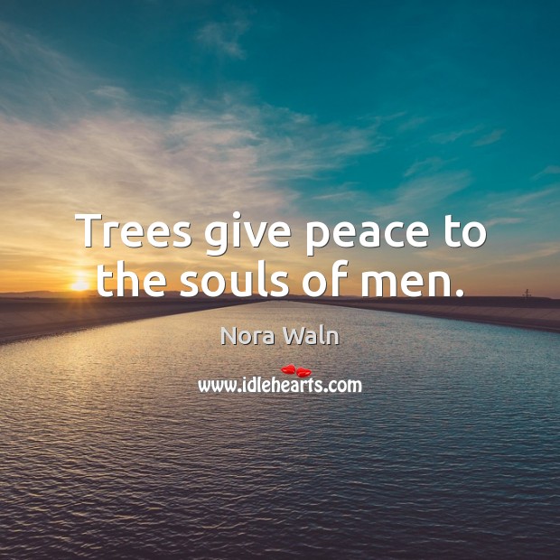 Trees give peace to the souls of men. Nora Waln Picture Quote