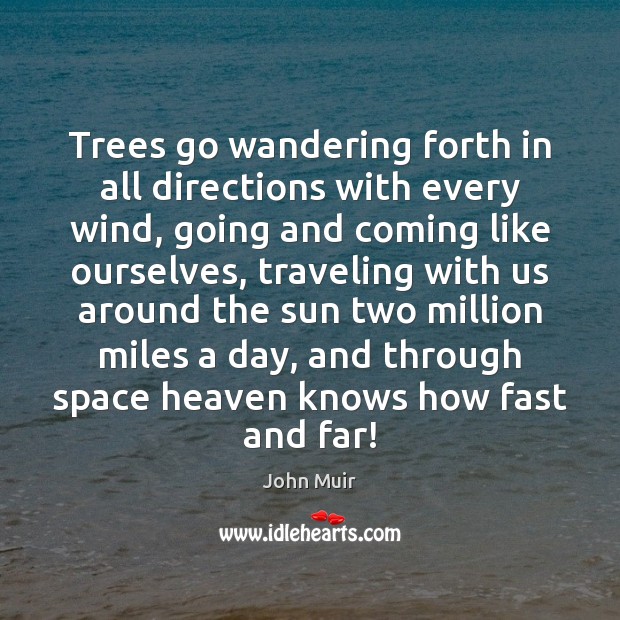 Trees go wandering forth in all directions with every wind, going and John Muir Picture Quote