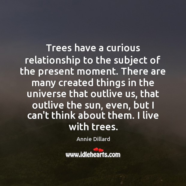 Trees have a curious relationship to the subject of the present moment. Annie Dillard Picture Quote