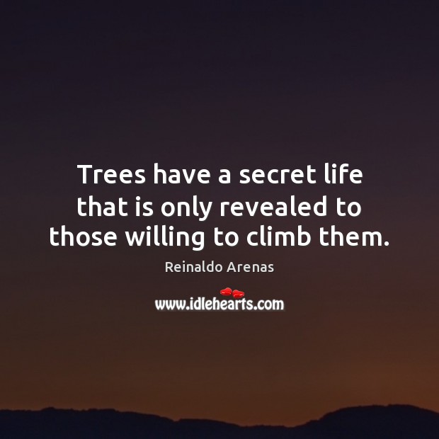 Trees have a secret life that is only revealed to those willing to climb them. Reinaldo Arenas Picture Quote