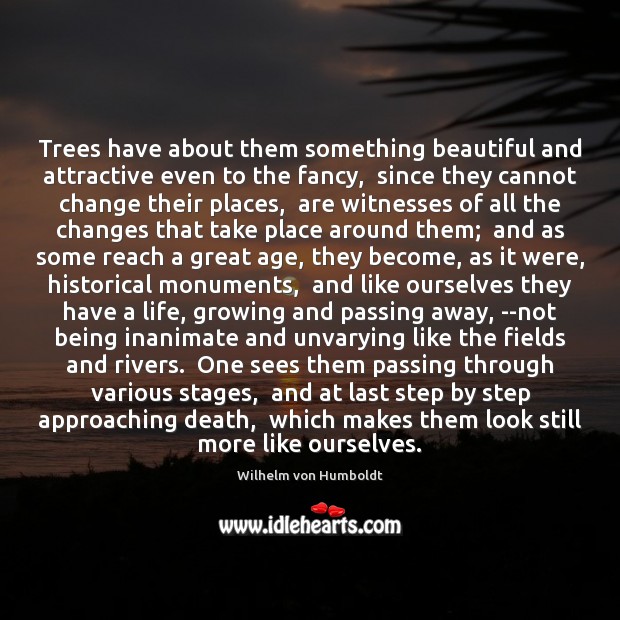 Trees have about them something beautiful and attractive even to the fancy, Wilhelm von Humboldt Picture Quote