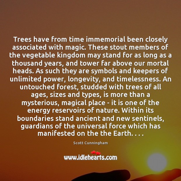 Trees have from time immemorial been closely associated with magic. These stout Scott Cunningham Picture Quote