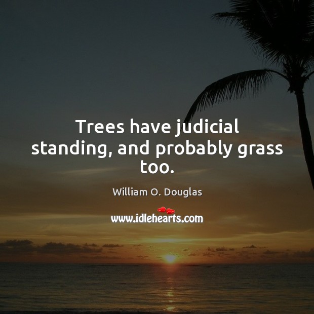 Trees have judicial standing, and probably grass too. Image