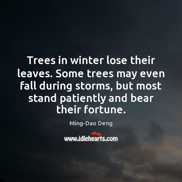 Trees in winter lose their leaves. Some trees may even fall during Ming-Dao Deng Picture Quote