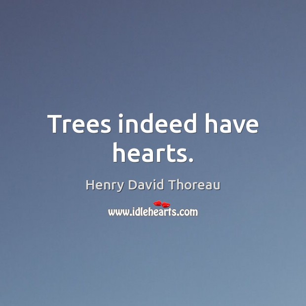 Trees indeed have hearts. Image