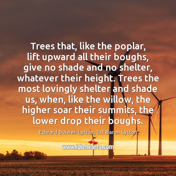 Trees that, like the poplar, lift upward all their boughs, give no Edward Bulwer-Lytton, 1st Baron Lytton Picture Quote