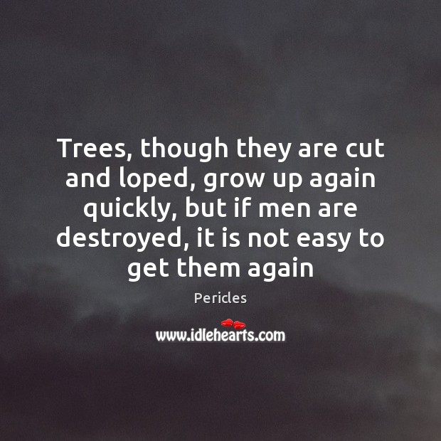 Trees, though they are cut and loped, grow up again quickly, but Pericles Picture Quote
