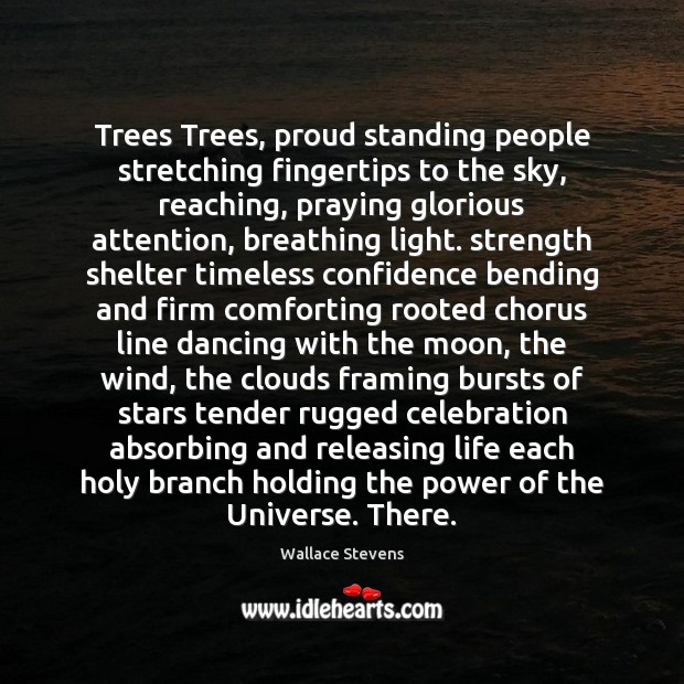 Trees Trees, proud standing people stretching fingertips to the sky, reaching, praying Image