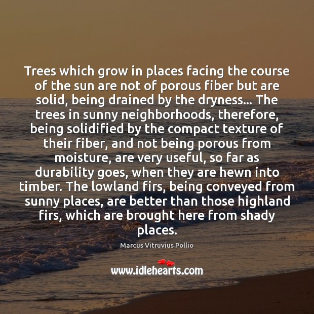Trees which grow in places facing the course of the sun are Marcus Vitruvius Pollio Picture Quote