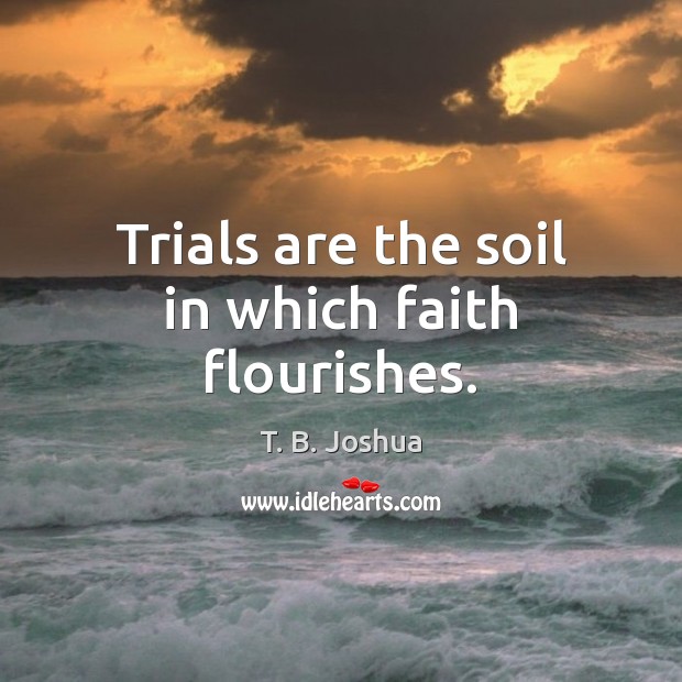Trials are the soil in which faith flourishes. T. B. Joshua Picture Quote