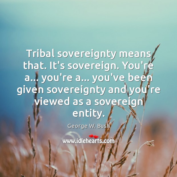 Tribal sovereignty means that. It’s sovereign. You’re a… you’re a… you’ve been Image