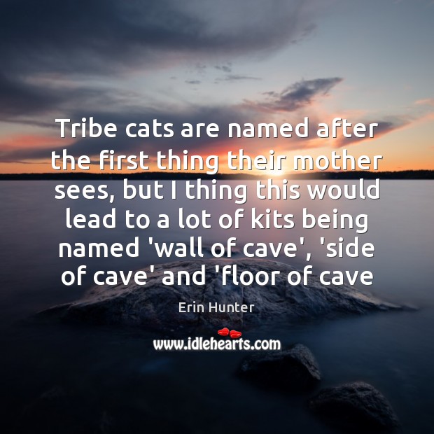 Tribe cats are named after the first thing their mother sees, but Erin Hunter Picture Quote