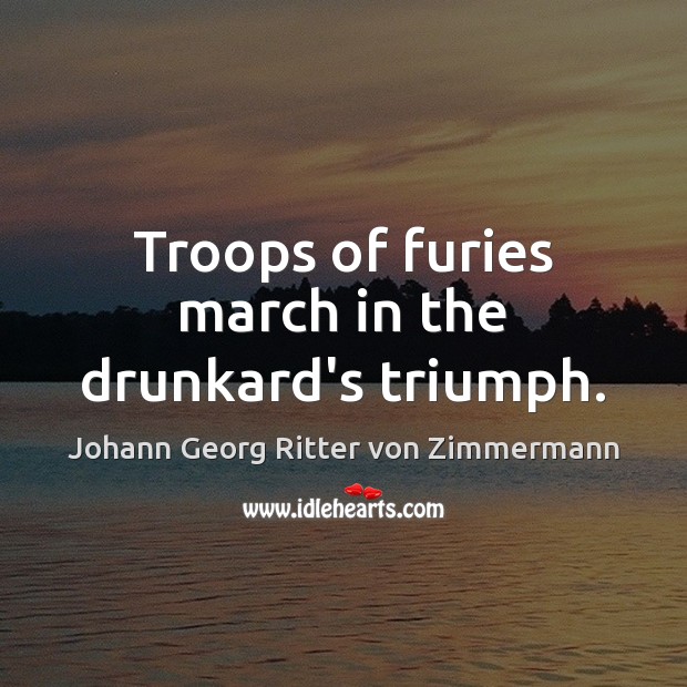 Troops of furies march in the drunkard’s triumph. Johann Georg Ritter von Zimmermann Picture Quote