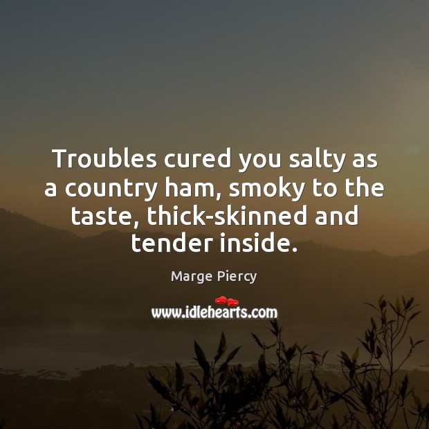 Troubles cured you salty as a country ham, smoky to the taste, Marge Piercy Picture Quote