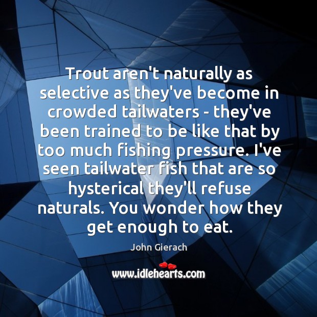 Trout aren’t naturally as selective as they’ve become in crowded tailwaters – Image