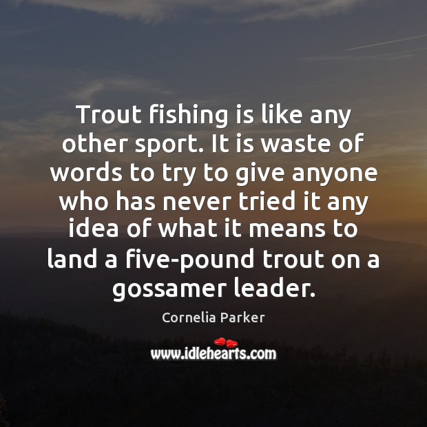 Trout fishing is like any other sport. It is waste of words Cornelia Parker Picture Quote