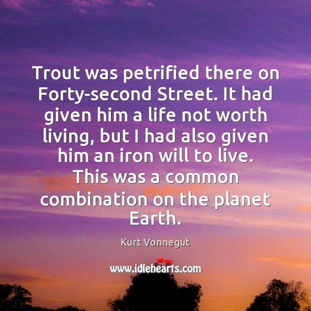Trout was petrified there on Forty-second Street. It had given him a Kurt Vonnegut Picture Quote
