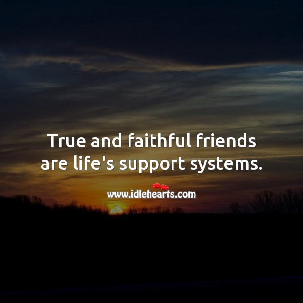 True and faithful friends are life’s support systems. Inspirational Friendship Quotes Image