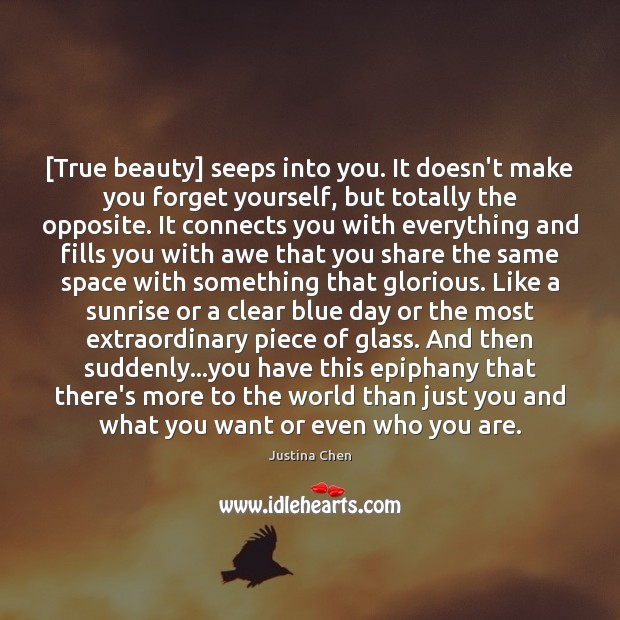 [True beauty] seeps into you. It doesn’t make you forget yourself, but Justina Chen Picture Quote