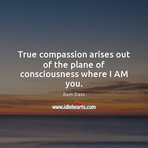True compassion arises out of the plane of consciousness where I AM you. Ram Dass Picture Quote