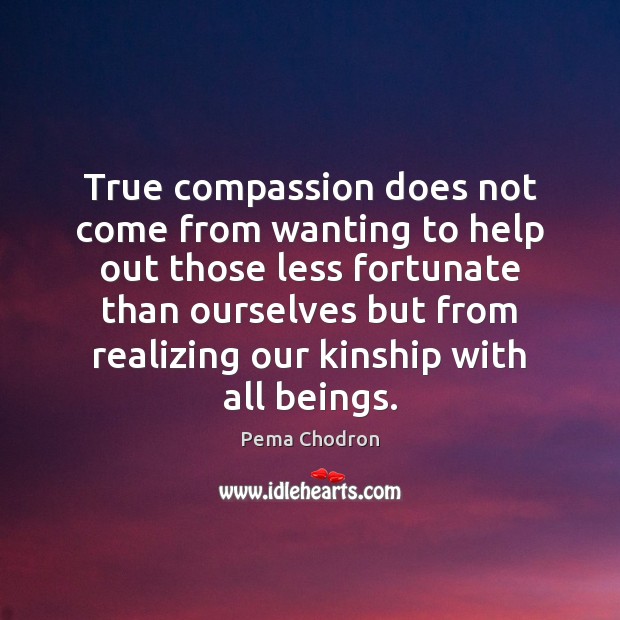 True compassion does not come from wanting to help out those less Pema Chodron Picture Quote