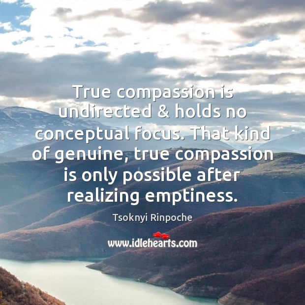 True compassion is undirected & holds no conceptual focus. That kind of genuine, Tsoknyi Rinpoche Picture Quote