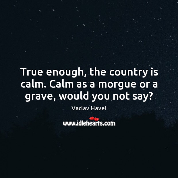 True enough, the country is calm. Calm as a morgue or a grave, would you not say? Vaclav Havel Picture Quote