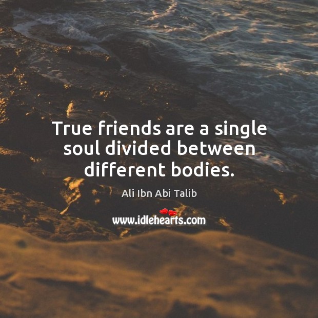 True friends are a single soul divided between different bodies. Ali Ibn Abi Talib Picture Quote