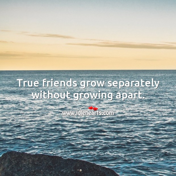 True friends grow separately without growing apart. 