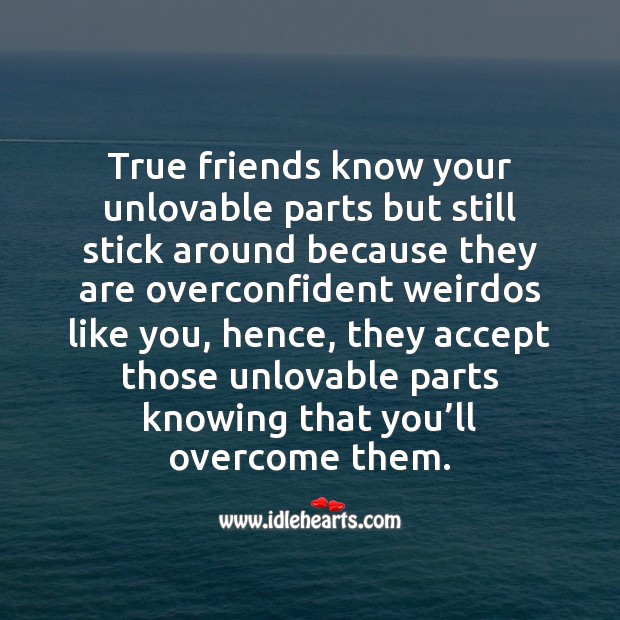 True friends know your unlovable parts but still stick around. True Friends Quotes Image