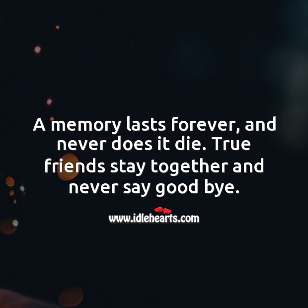 True friends stay together and never say good bye. Friendship Messages Image