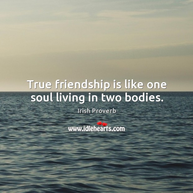 True friendship is like one soul living in two bodies. Irish Proverbs Image