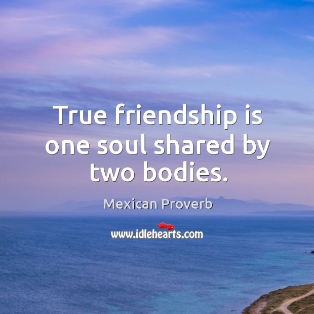 True friendship is one soul shared by two bodies. Image