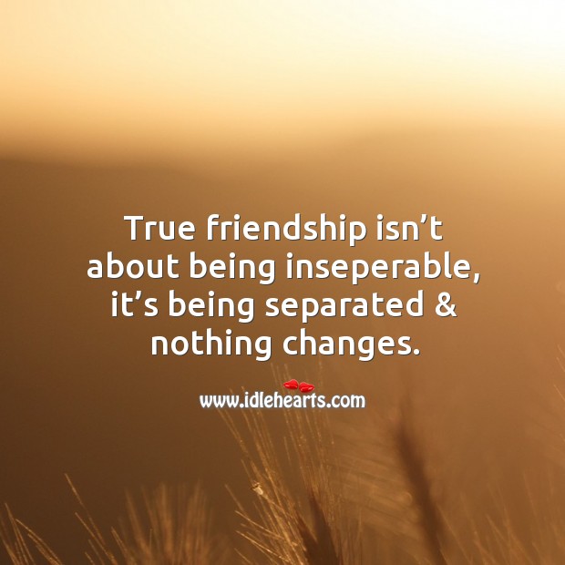 True friendship isn’t about being inseperable, it’s being separated & nothing changes. True Friends Quotes Image
