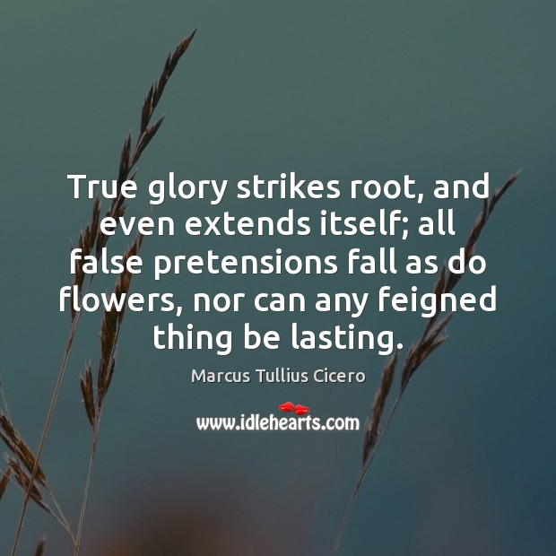 True glory strikes root, and even extends itself; all false pretensions fall Marcus Tullius Cicero Picture Quote